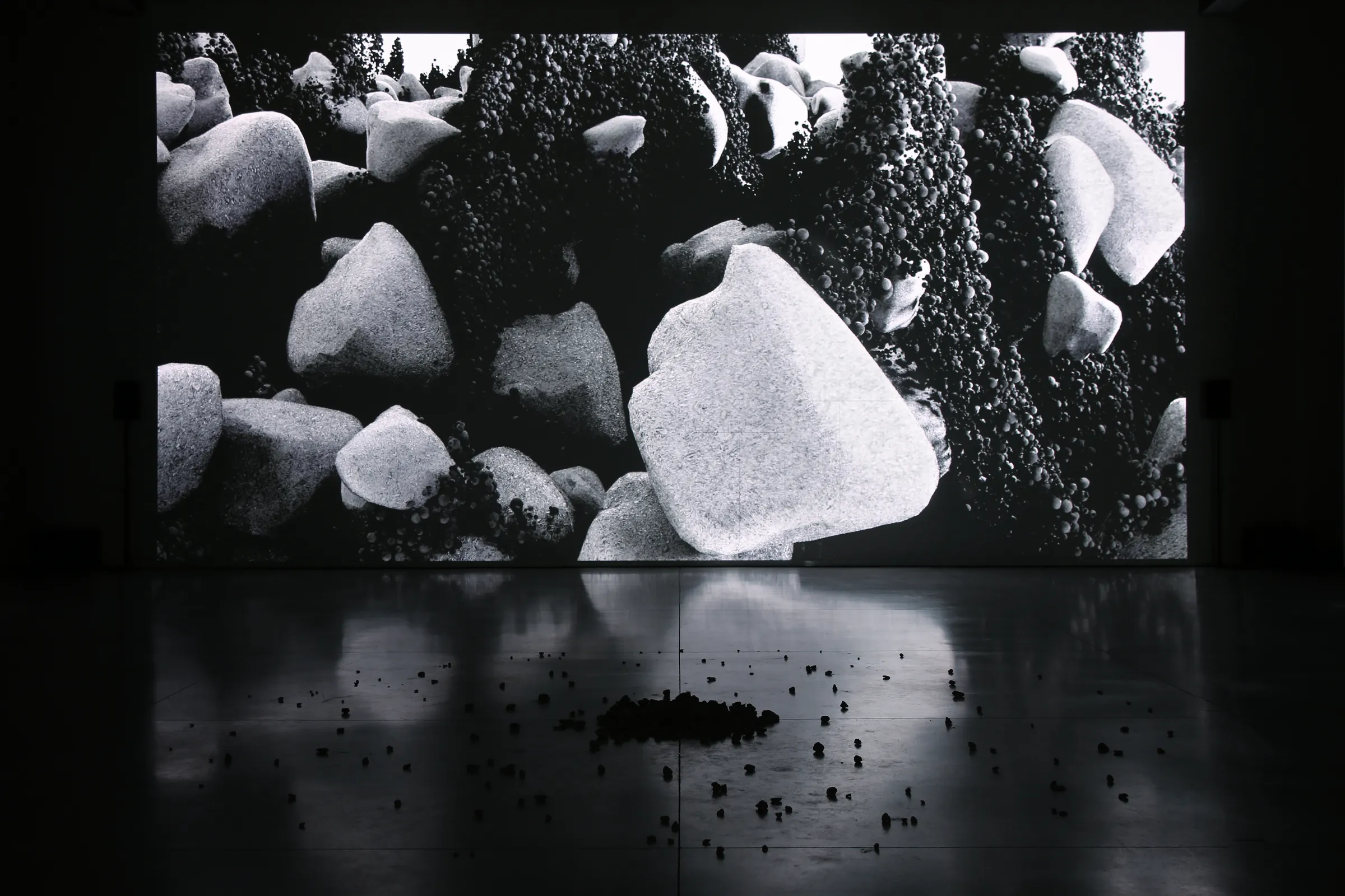 Studio Above&Below — Entangled Landscape 05 Studio Above&Below — Entangled Landscape 05