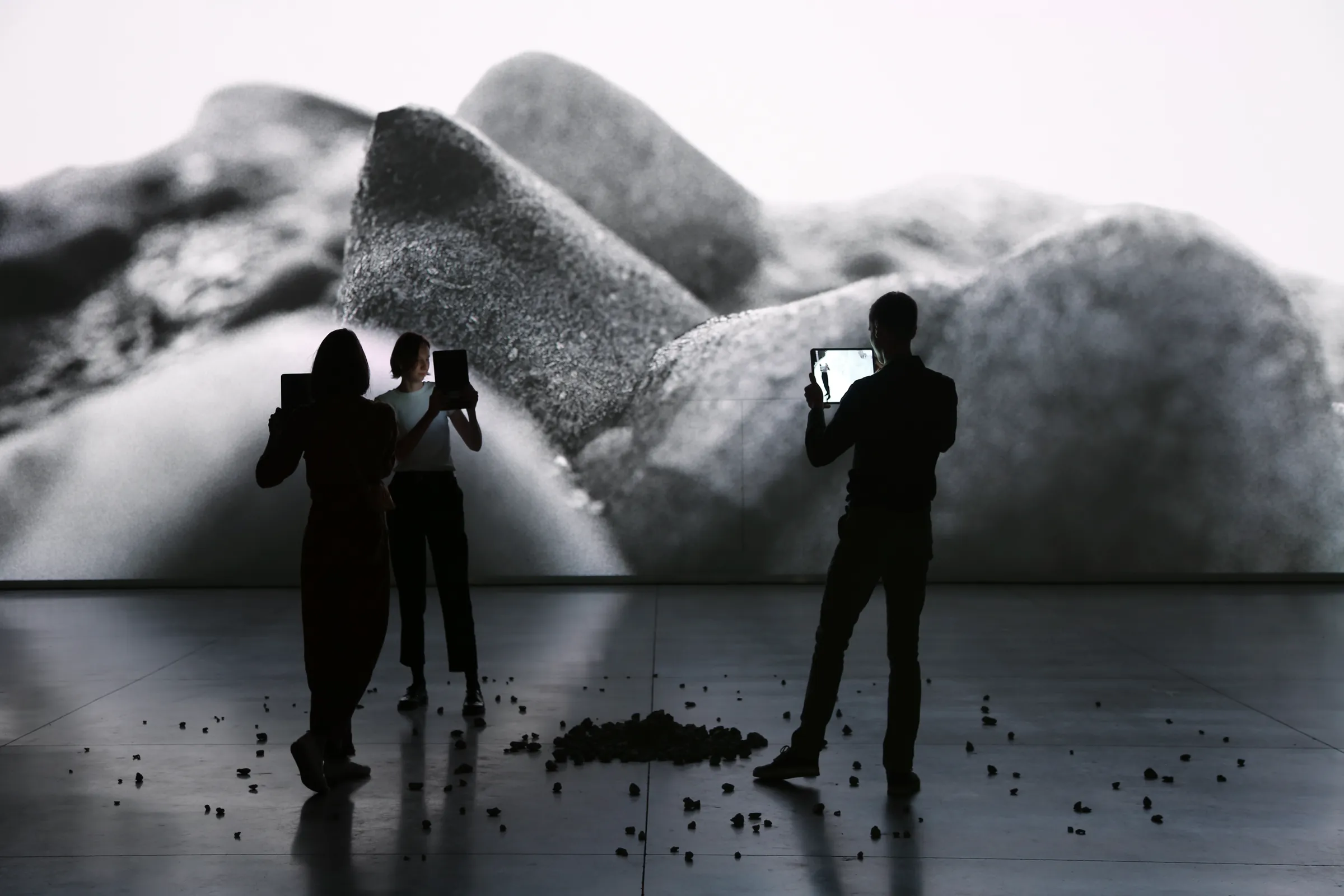 Studio Above&Below — Entangled Landscape 01 Studio Above&Below — Entangled Landscape 01