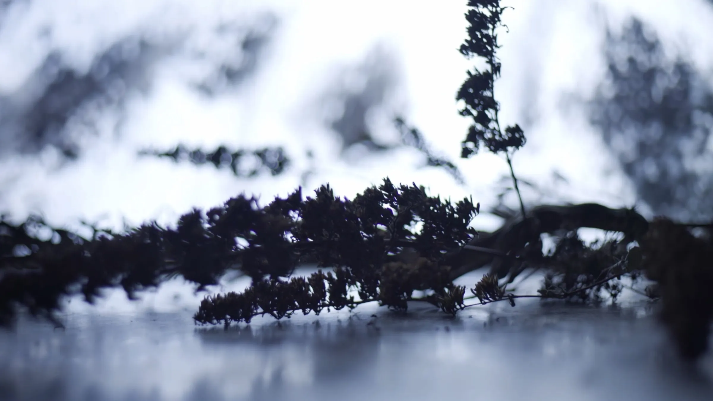 Studio Above&Below — Meditative Cohabitation 10 Studio Above&Below — Meditative Cohabitation 10