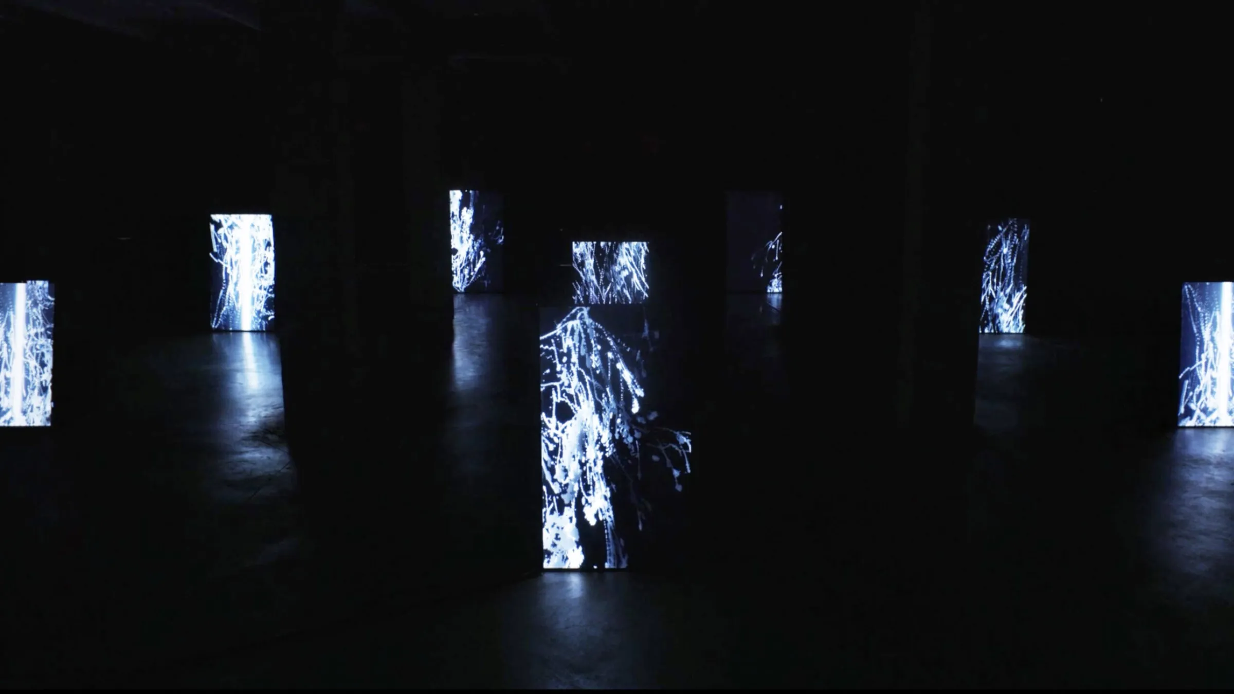 Studio Above&Below — Meditative Cohabitation 06 Studio Above&Below — Meditative Cohabitation 06