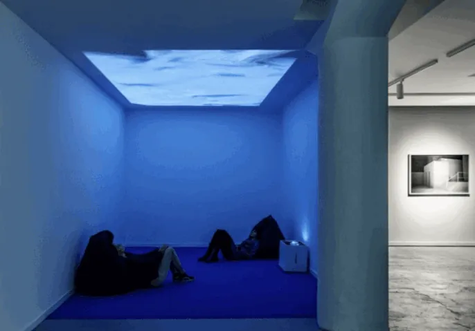 Studio Above&Below — Evolving Landscapes, Artemis Gallery, Lisbon, Portugal