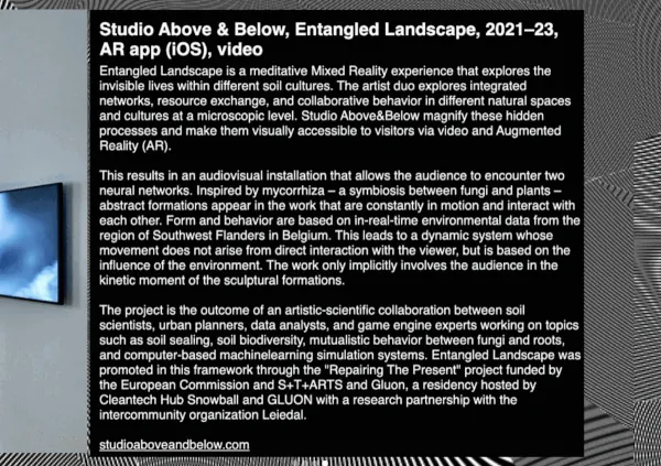 Studio Above&Below — EVOLVING KINETICS - Art Museum Gelsenkirchen