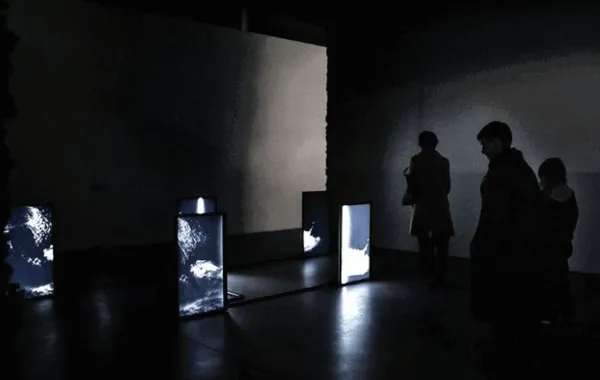 Studio Above&Below — MUSEUM OF CONTEMPORARY ART, LIVING SYSTEMS, ZAGREB, CROATIA