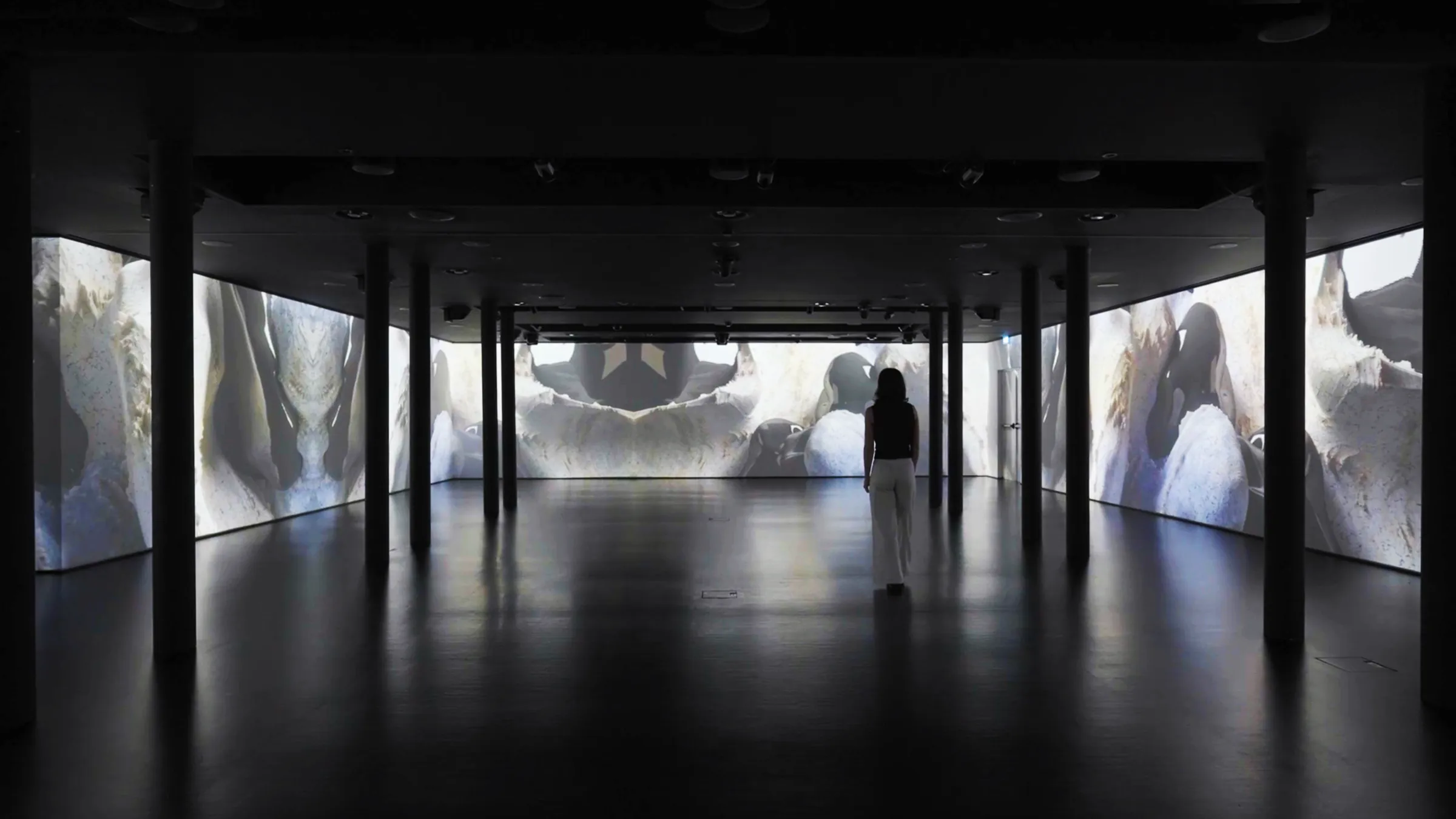 Studio Above&Below — Regenerative Symphony